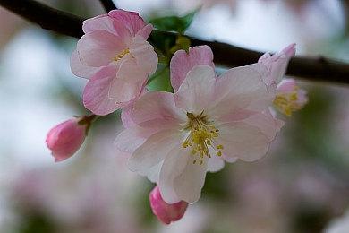 黑暗奇幻平台游戏《破灭》4月2日发售 登陆PS5、NS和PC